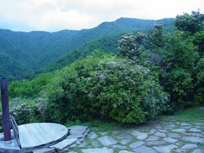 Un chemin de pierres mène à une terrasse en bois dotée d’une rambarde en métal, le tout étant entouré d’une végétation luxuriante et avec des montagnes en arrière-plan.