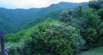 Secluded Retreat Panoramic Views, Low Rates, Hot Tub, Fire Pit