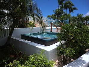Relax in a serene hot tub surrounded by lush greenery and palm trees.