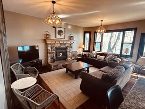 TV, fireplace - Upscale Cayuga Lakefront - beautiful water access - on Finger Lakes Wine Trail (Fayette)