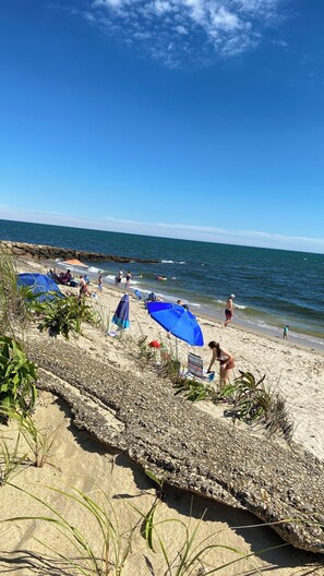 在海灘附近、躺椅