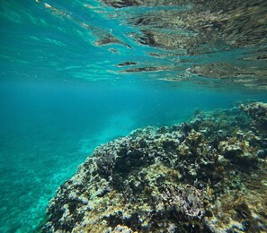 Image sans description, 5 de 29, bouton