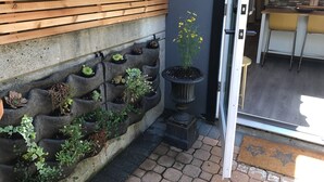 A modern kitchen with a built-in oven and microwave, a potted plant, and a seating area with chairs. - New Basement Private Suite - Fully Furnished,  1 BEDROOM & Futon (Vancouver)