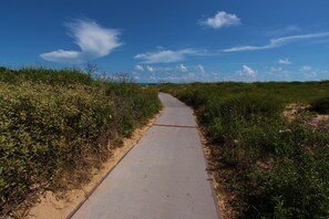 A pathway through a natural landscape with a clear sky. - Experience the ocean views at Dreams of Atlantis - Condo 502, a 2BR retreat in South Padre Island. (South Padre Island)