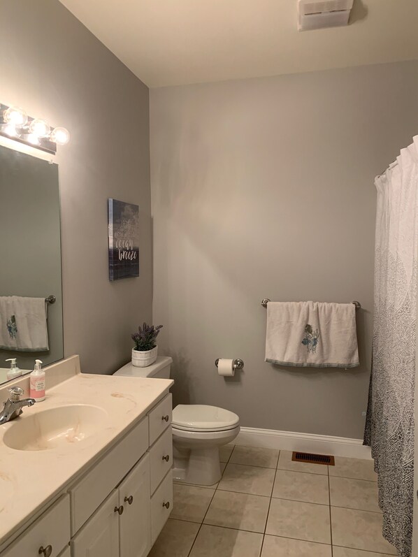 Un baño con tocador, lavabo, espejo, inodoro y cortina de ducha.