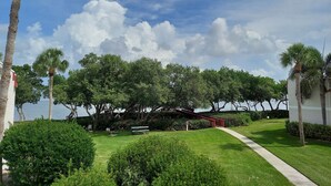 A well-maintained garden with palm trees, a pathway, and a bench. - 10/10 EXCEPTIONAL!!! -161 REVIEWS-ANNA MARIA ISLAND-2B/2B-RENOVATED-WELL STOCKED (Bradenton Beach)