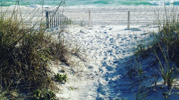 Ein Sandstrand mit einer Holzlattenzaun, der zum Meer führt.
