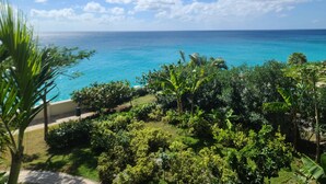 Un jardín tropical con vista al océano.