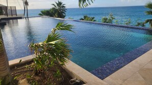 Vista despejada de una piscina con vistas al océano, rodeada de palmeras y un cielo claro.