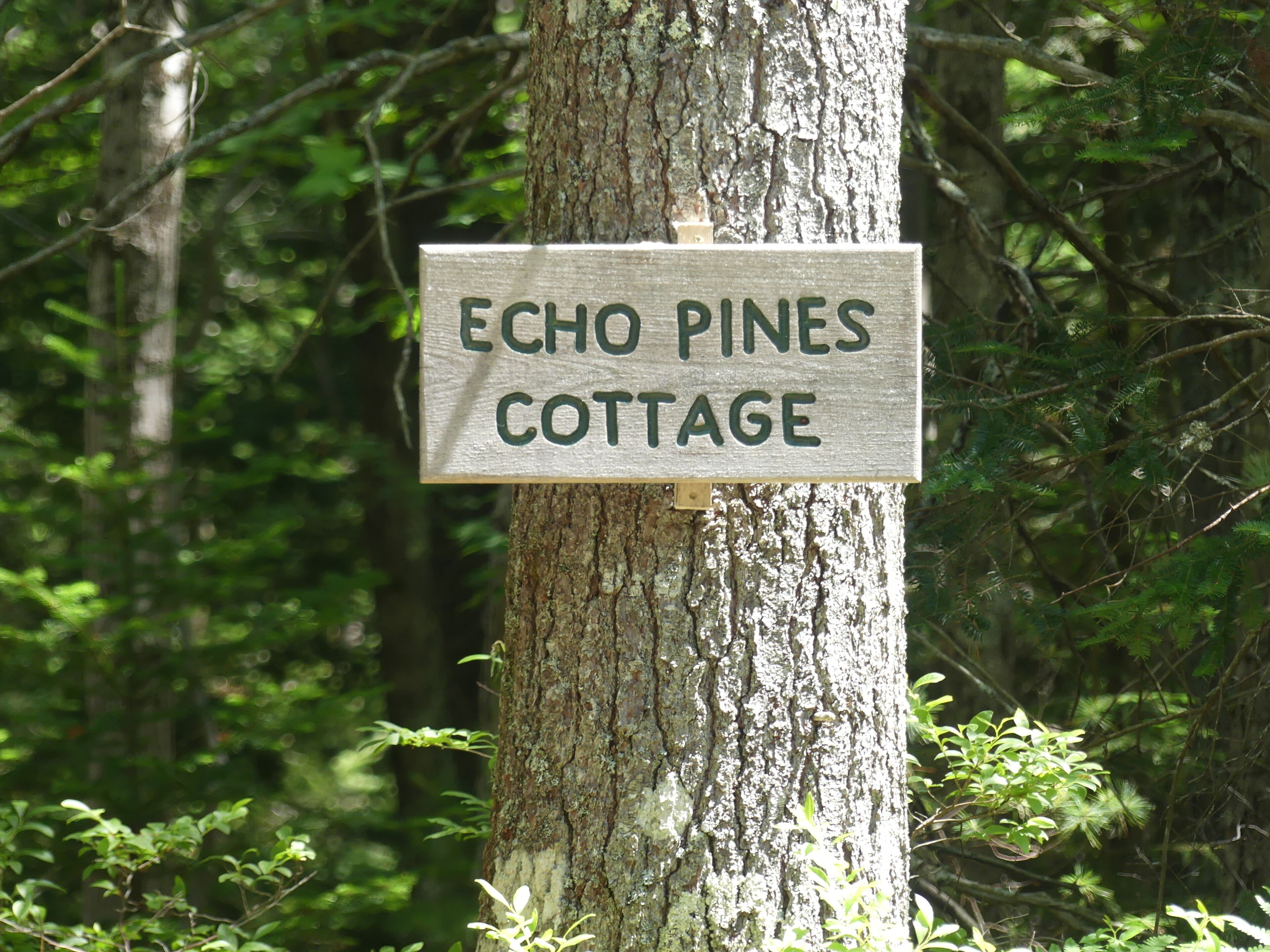 Un letrero en un árbol que dice 'Echo Pines Cottage'.