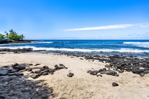 Beach - Honl's Beach Hale: Airy Oceanfront Home w/ Beautiful Views & Relaxing Yard (Kailua Kona)