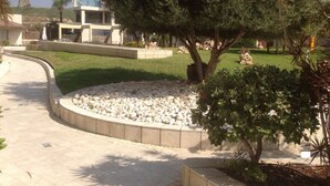 A landscaped area with a curved pathway, a small rock garden, and a tree. - 0cean front Herzelia condo next to beach and resturants (Herzliya)