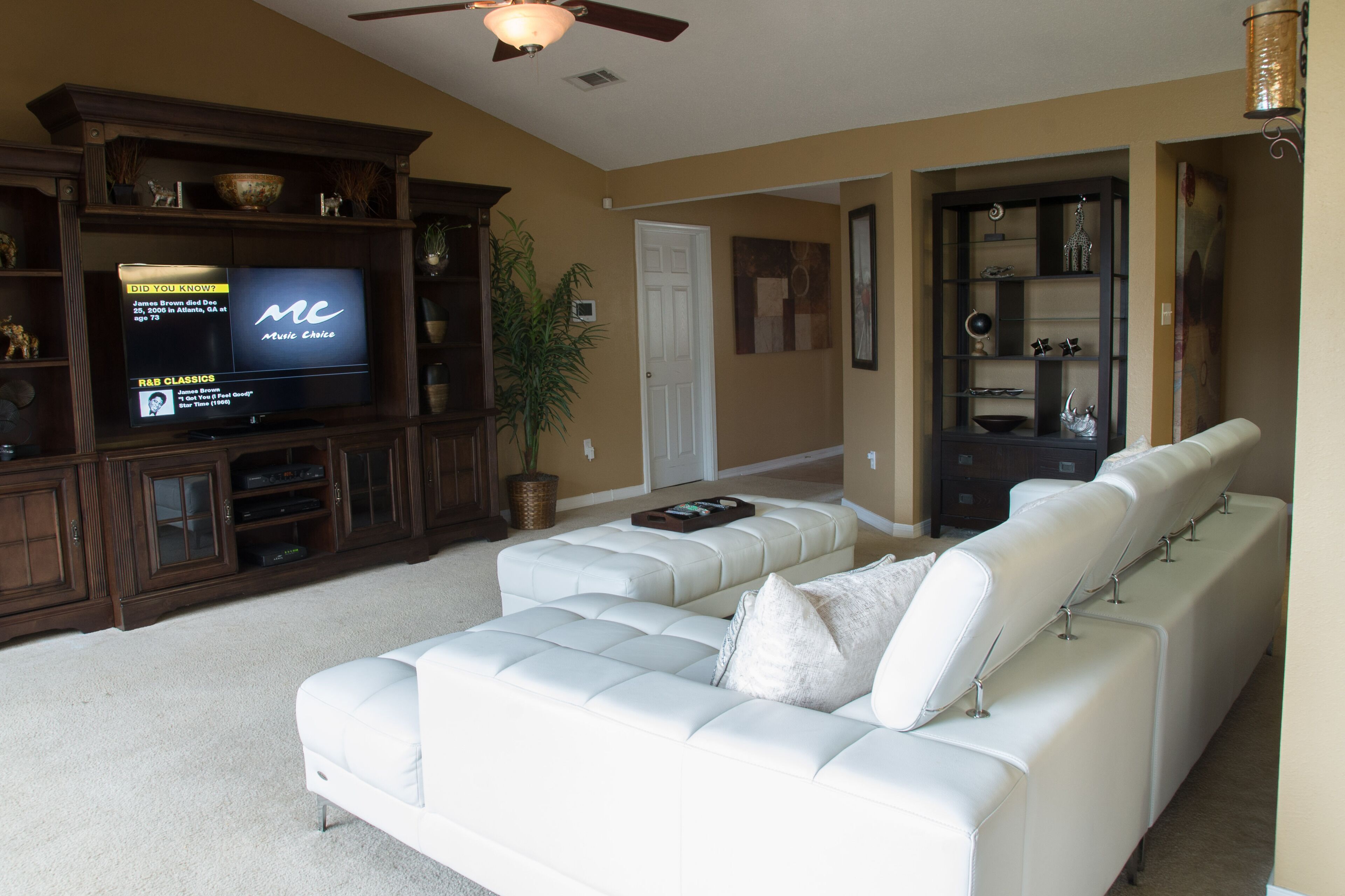 Beautiful Home for Celebs, Couples, Families, Teams