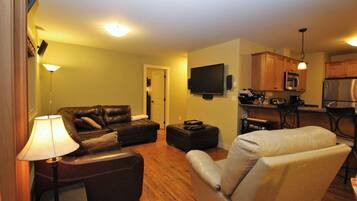 Televisor intel·ligent, llar de foc, reproductor de DVD i estèreo