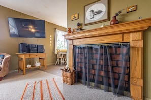 TV, fireplace, video games, DVD player