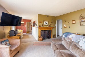 TV, fireplace, video games, DVD player