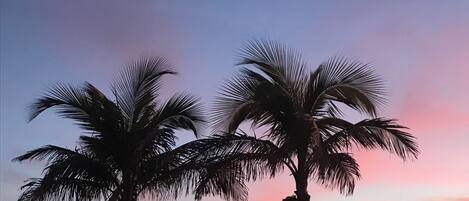 Beach nearby, sun-loungers, beach towels