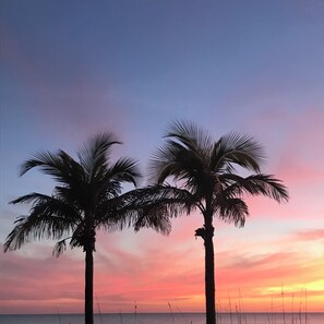 Two palm trees silhouetted against a sunset sky. - Beautiful Condo at Madeira Beach, 2Htd Pools,Walk to Beach,WiFi,Piers,Johns Pass (Madeira Beach)