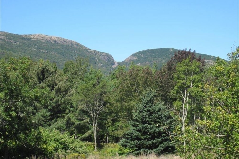 Location!MountainViewsHeartofAcadia.Walk to trails/park loop June10-13 Available