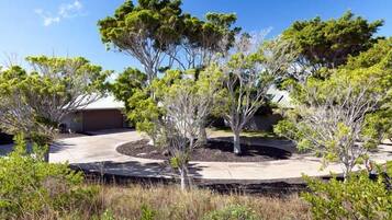 Área da propriedade