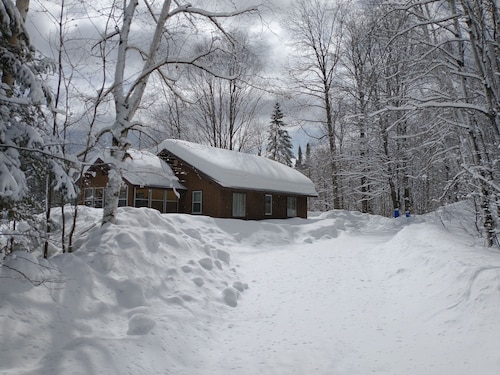 Quiet nature cabin on the beautiful Marengo River