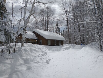 Quiet nature cabin on the beautiful Marengo River