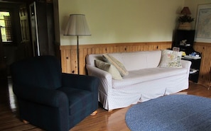 TV, DVD player, books, video library
