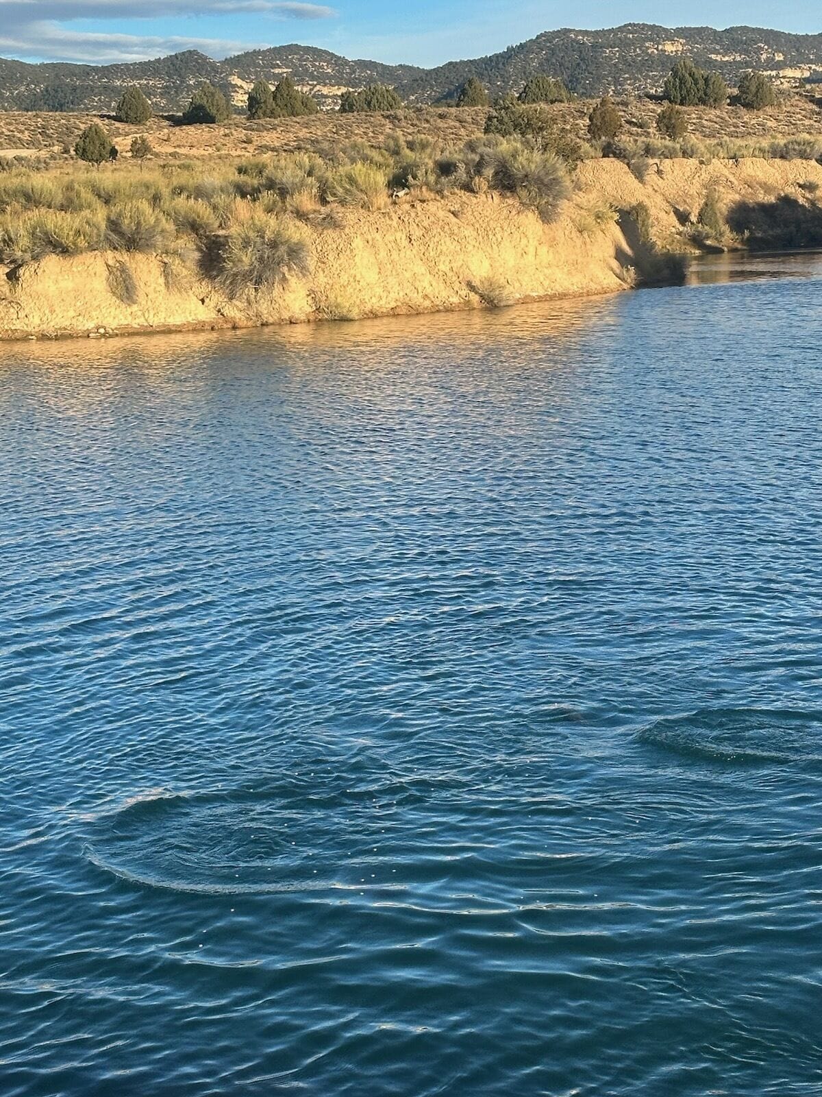 Een rivier met een zandige oever en schaarse begroeiing.