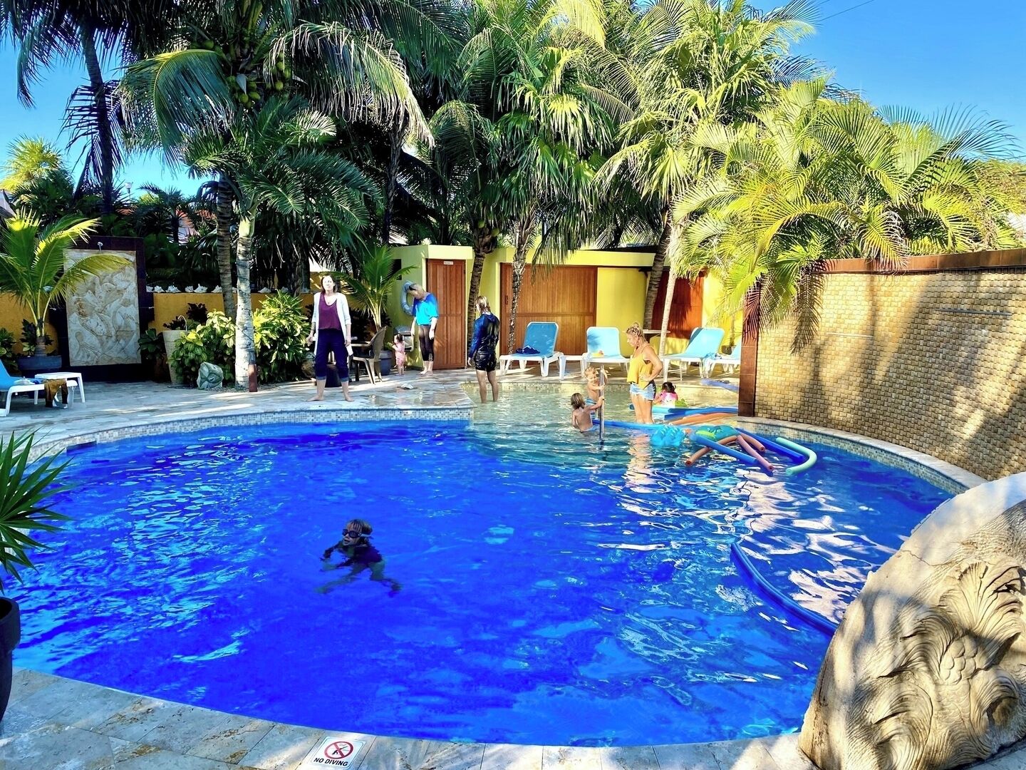 A swimming pool surrounded by palm trees and lounge chairs.