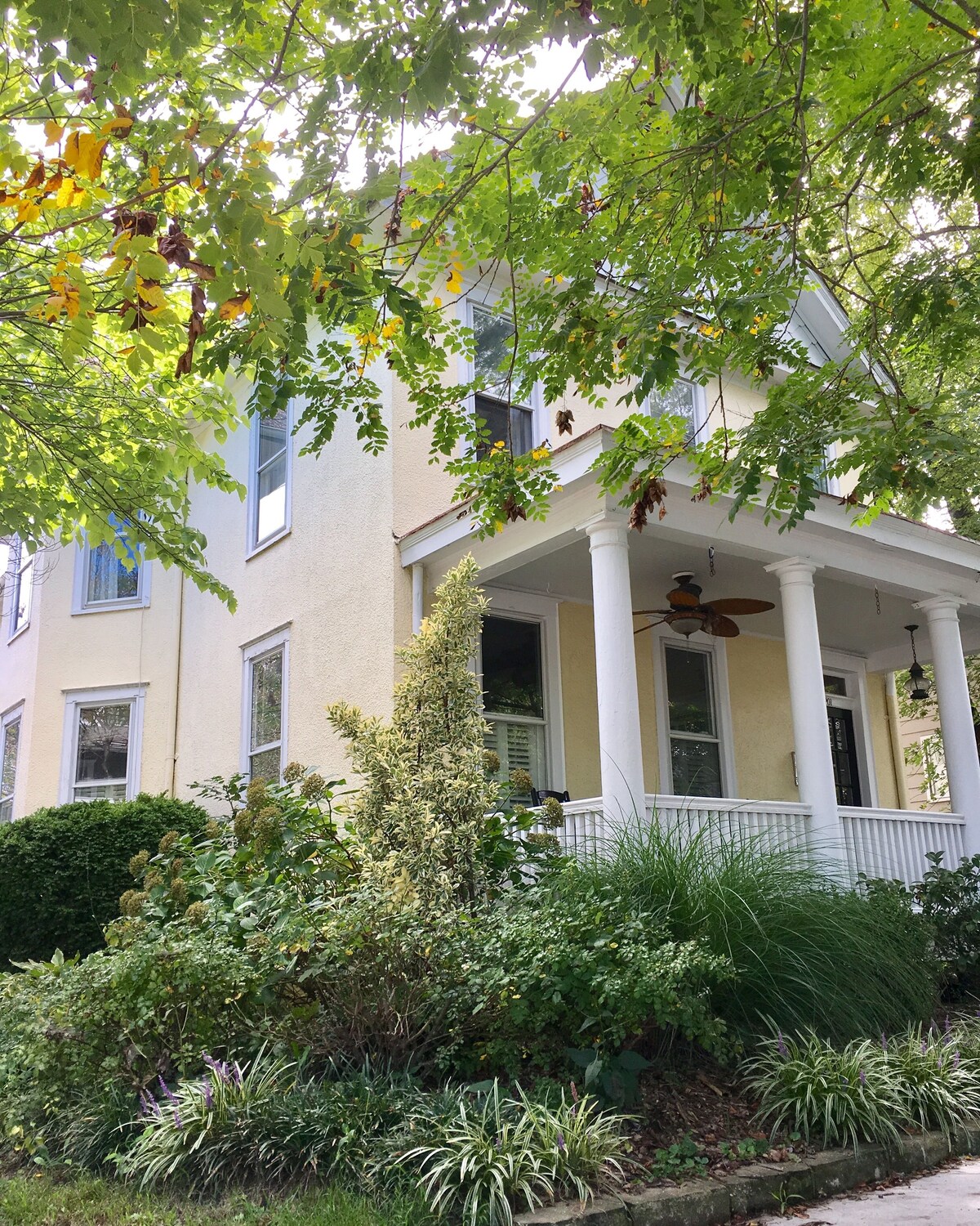 Bild für Gastgeberprofil