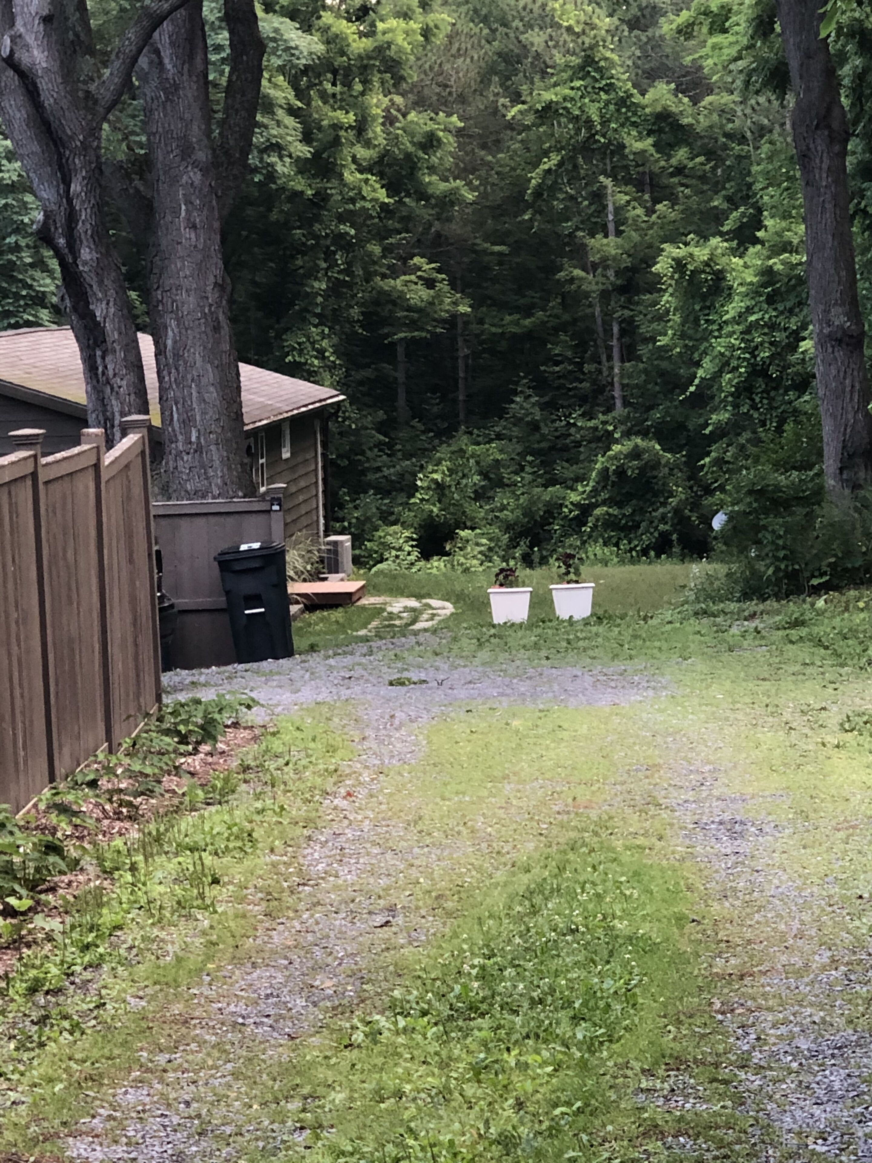A backyard with a wooden fence, a shed, and a gravel path leading to a grassy area with potted plants.