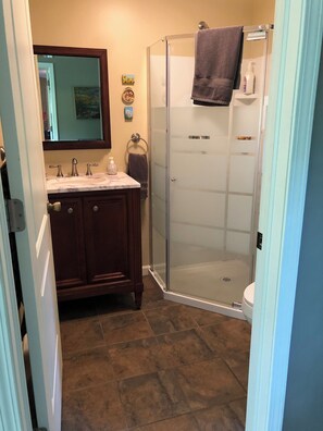 Combined shower/tub, hair dryer, towels, soap