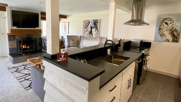 A modern kitchen with a large island, built-in appliances, and a fireplace. - 1B, 1B MTN. Getaway Min. from Skiing.  (Wilson)