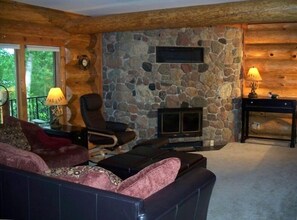 TV, fireplace, video games, DVD player