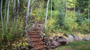Ein steiniger Pfad schlängelt sich durch einen bewaldeten Bereich mit einer Treppe, die einen kleinen Hügel hinaufführt.