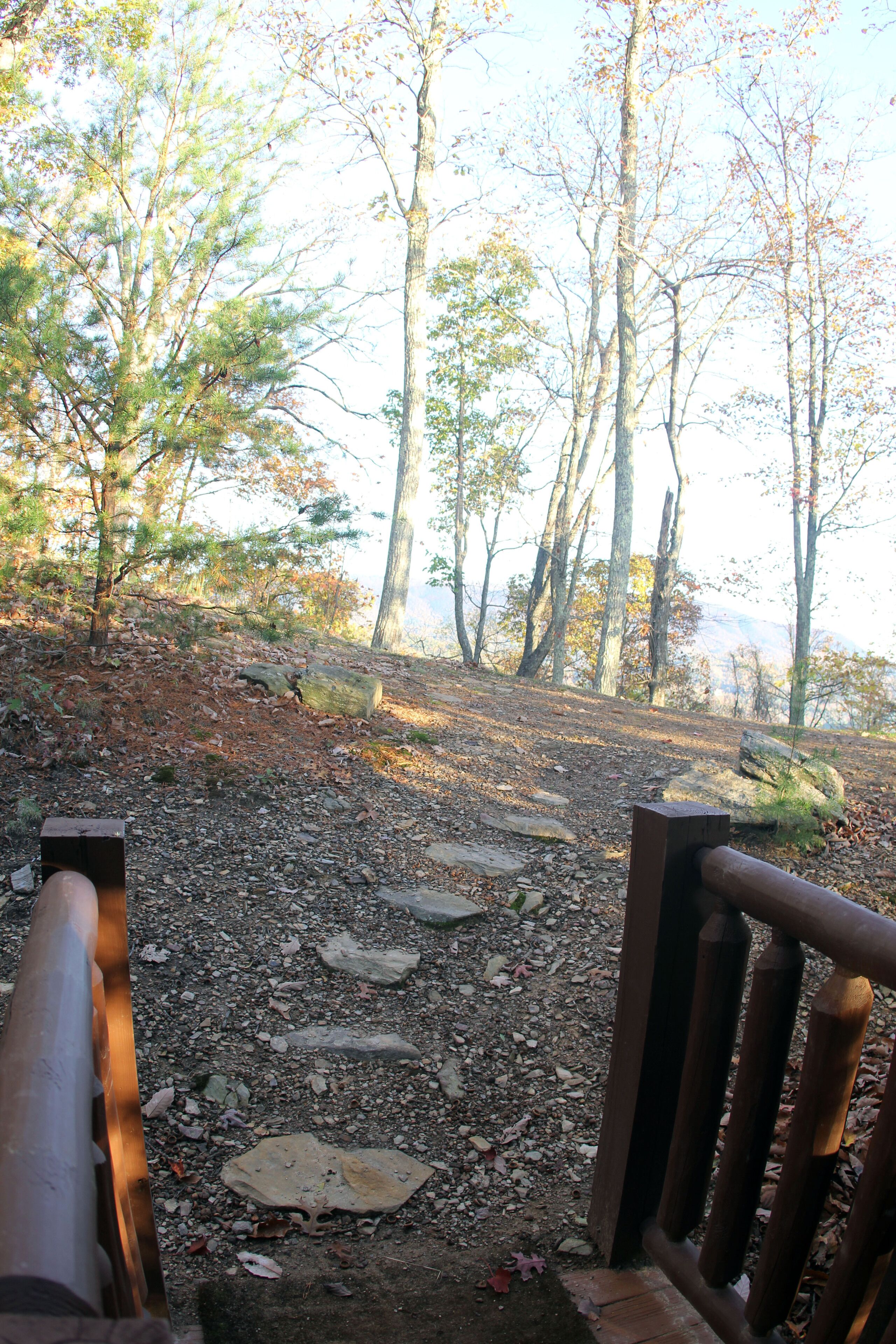 Un sentier qui traverse une zone boisée, avec une rambarde en bois d’un côté.