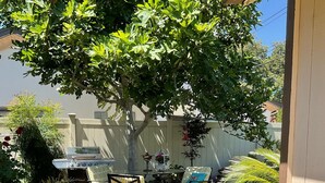A patio with a grill, outdoor furniture, and a brick pathway. - Sophie’s Cottage with Private Garden - Walk to Old Town Roseville (Roseville)