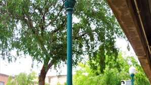 A street scene with a green lamppost, a bench, and a sign indicating 'Down Town Roseville'. - Sophie’s Cottage with Private Garden - Walk to Old Town Roseville (Roseville)