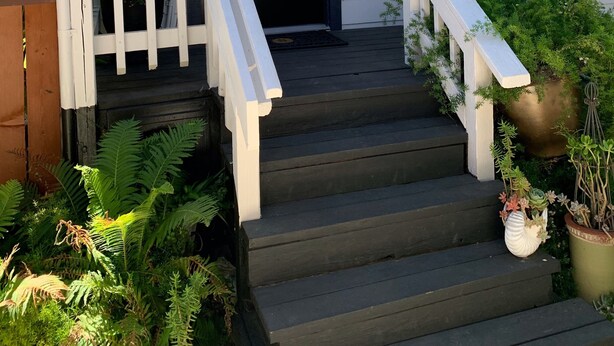A porch with white railings, a black door, and a small potted plant on the steps. - Sophie’s Cottage with Private Garden - Walk to Old Town Roseville (Roseville)
