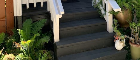 外观细节