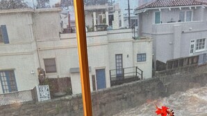 A coffee maker on a kitchen counter with a window view. - Second story studio 1 1/2 blocks to beach (Santa Barbara)