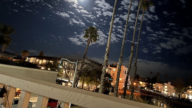 A night scene with a clear sky, palm trees, and illuminated buildings. - Second story studio 1 1/2 blocks to beach (Santa Barbara)