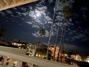 Une scène nocturne avec un ciel dégagé, des palmiers et des bâtiments illuminés.