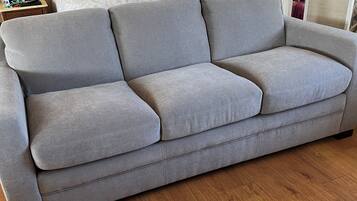 TV, DVD player, books, music library