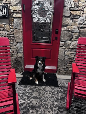 A red door with a stone wall, a dog sitting on a mat, and red chairs. - Large hot tub on large deck, close to golf courses, state parks, and wineries! (Jones Mills)