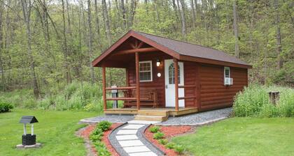 Vacation Rental Cabin, Keuka Lake Outlet-Trail, Wine Trail. Brand New in 2016