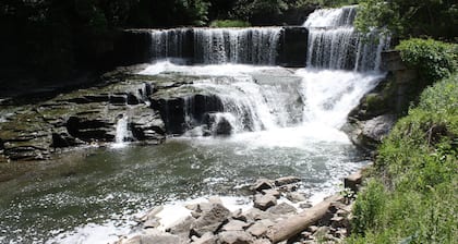 Ferienwohnung Hütte, Keuka Lake Outlet-Trail, Weinstraße. Brandneu im Jahr 2016