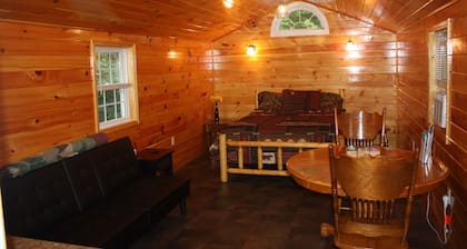 Vakantiewoning Cabin, Keuka Lake Outlet-Trail, Wine Trail.  Gloednieuw in 2016