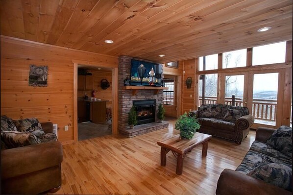 Televisión, chimenea, videojuegos y reproductor de DVD 