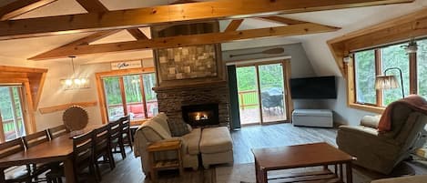 Smart TV, fireplace, DVD player, books